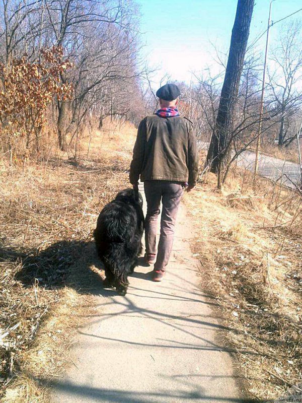 Фотография № 204551