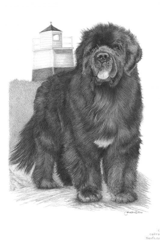 Фотография № 204567