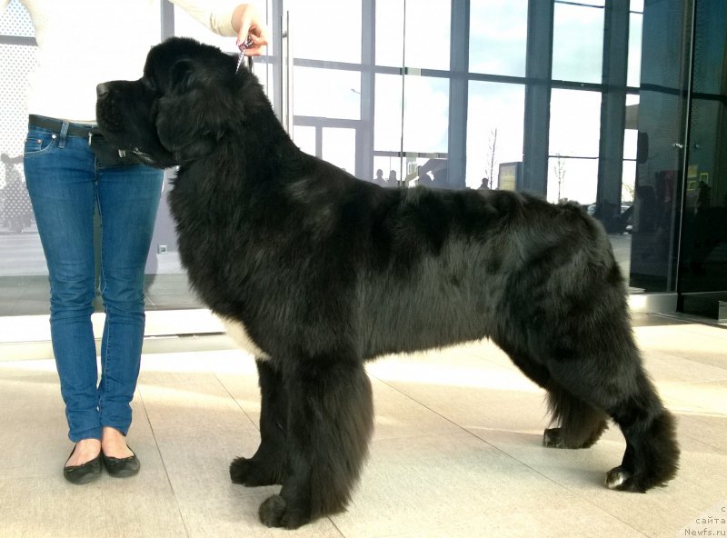 Фотография № 204577