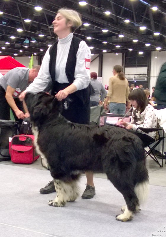 Фотография № 204578