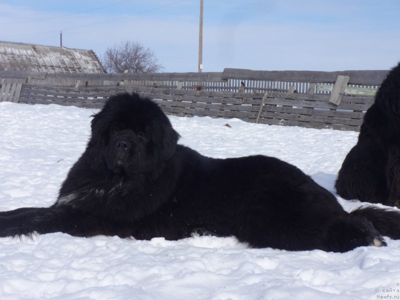 Фотография № 204637