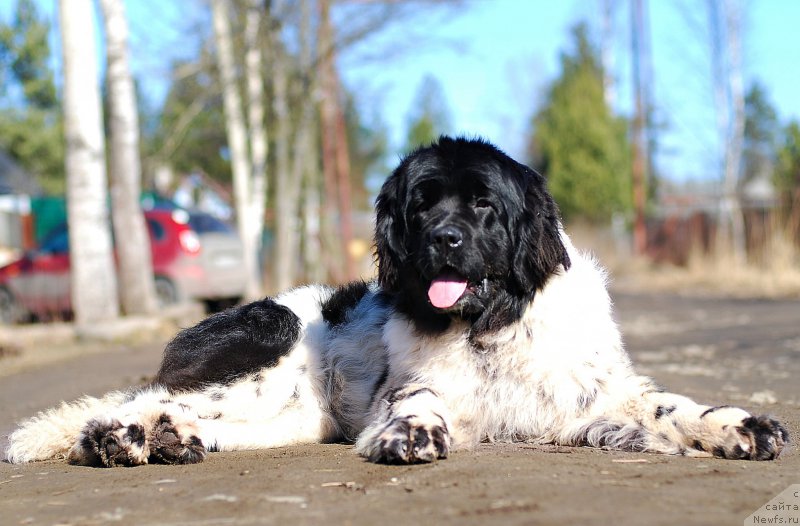 Фотография № 204670