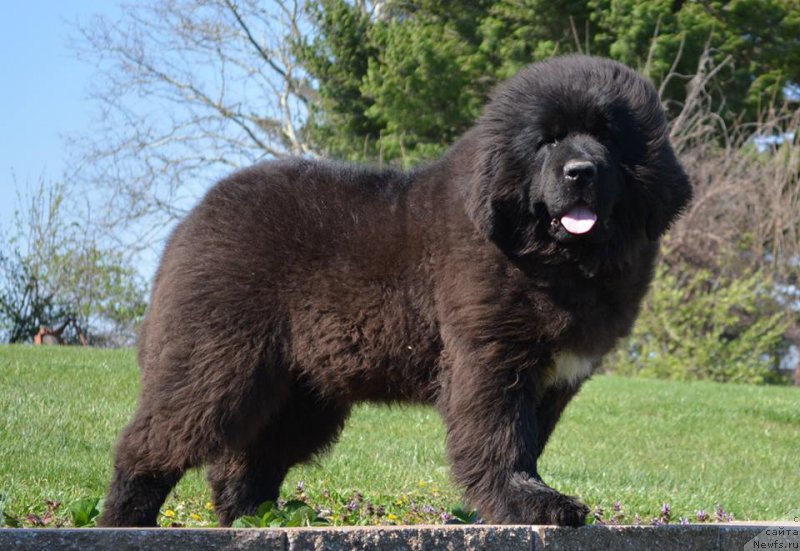 Фотография № 204671