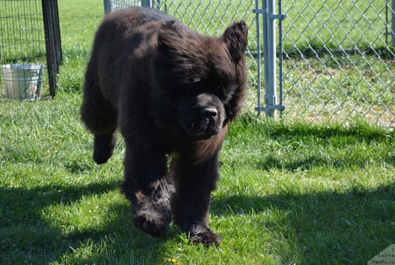 Фотография № 204672