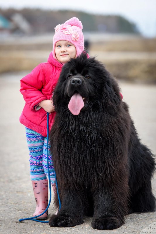 Фотография № 204677