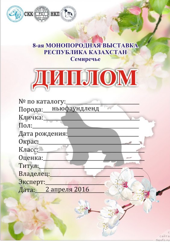 Фотография № 204686