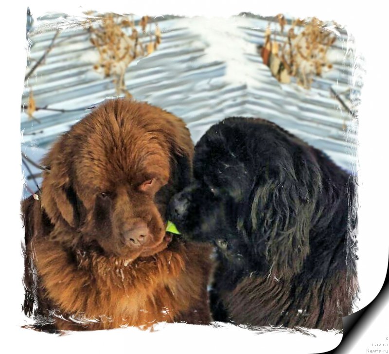 Фотография № 204694