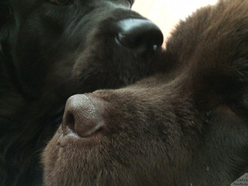 Фотография № 204792