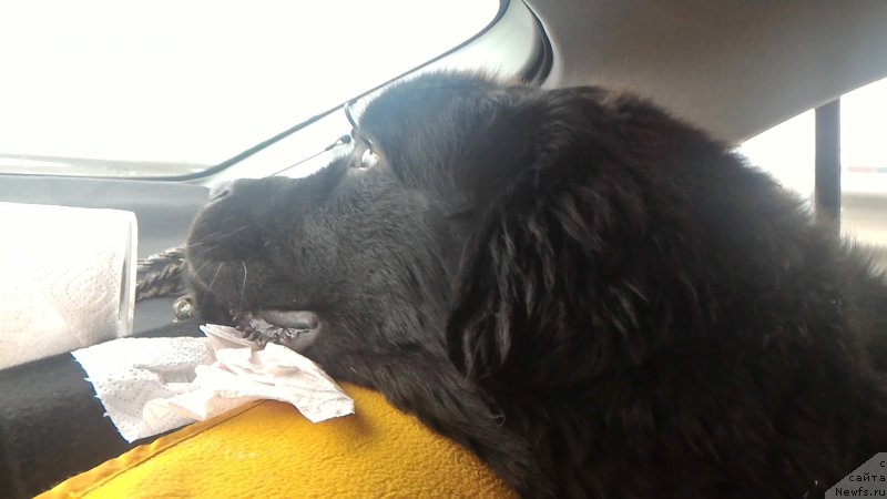 Фотография № 204813