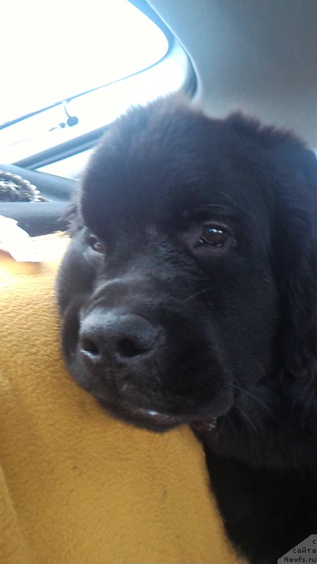 Фотография № 204814