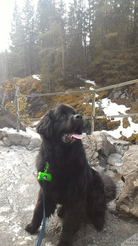 Фотография № 204822