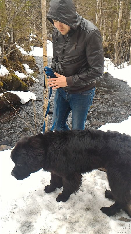 Фотография № 204823