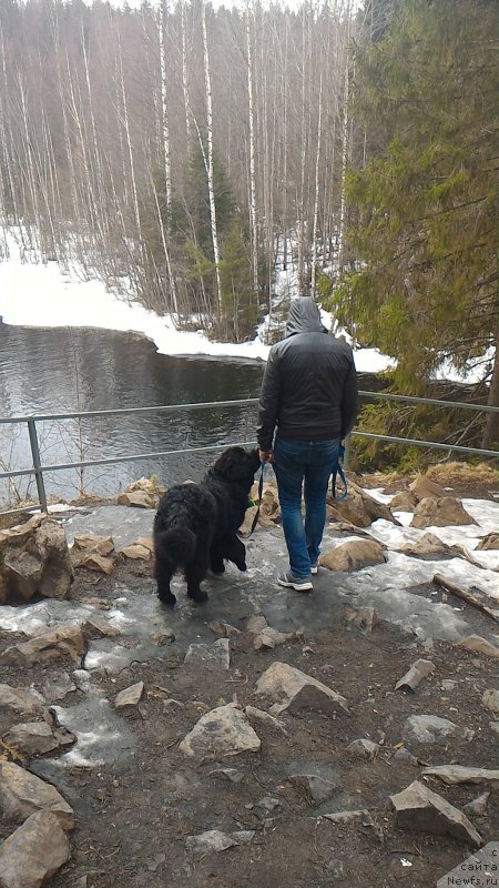 Фотография № 204824