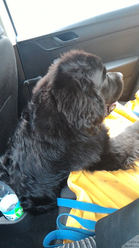 Фотография № 204827