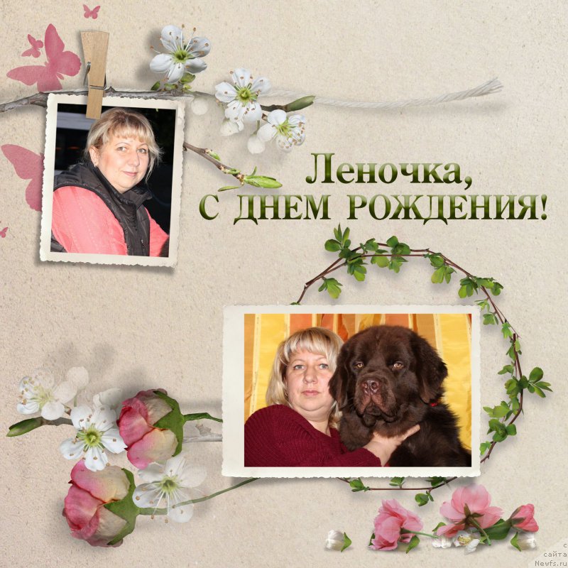 Фотография № 204885