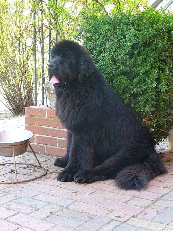 Фотография № 204886