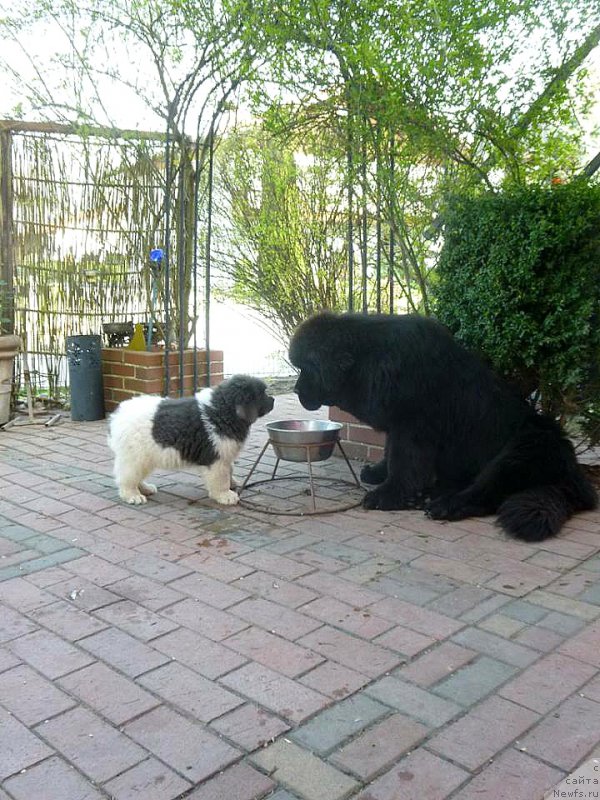 Фотография № 204887