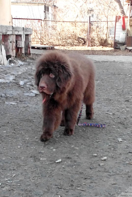 Фотография № 204904