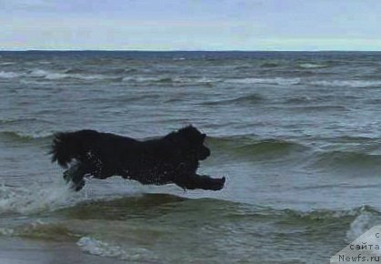 Фотография № 204924