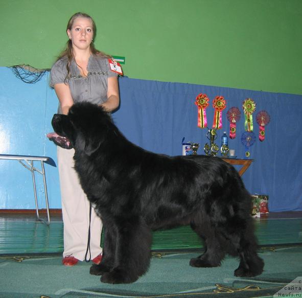 Фотография № 20493