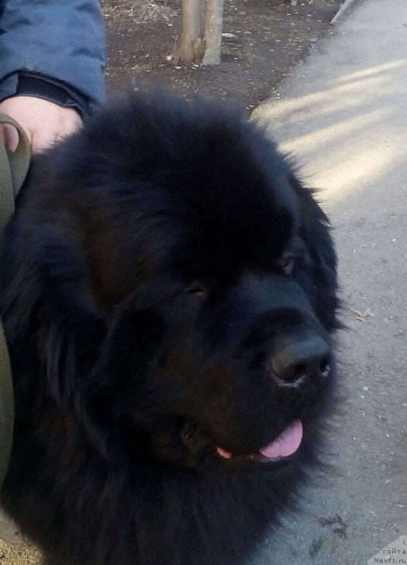 Фотография № 204930