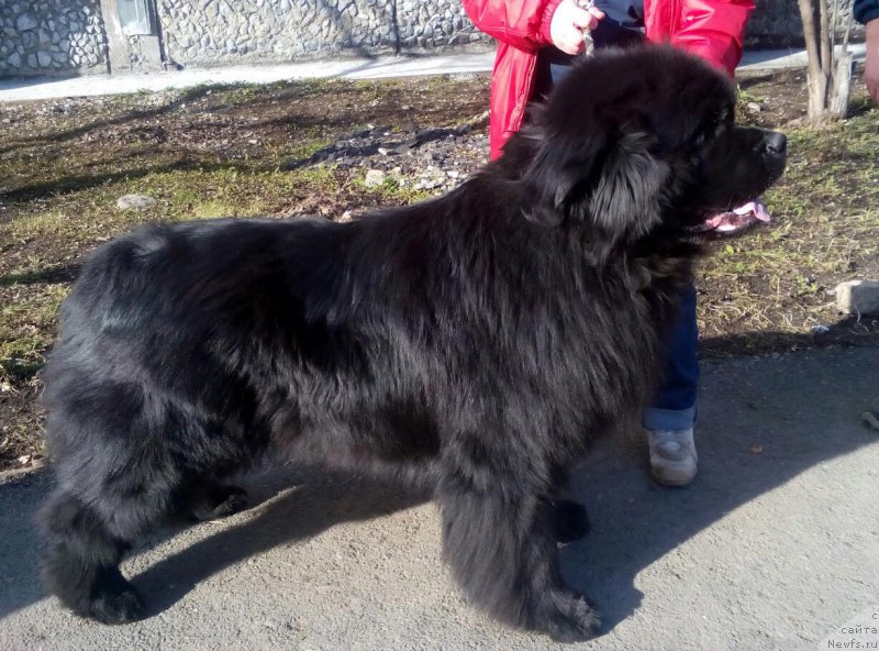 Фотография № 204932