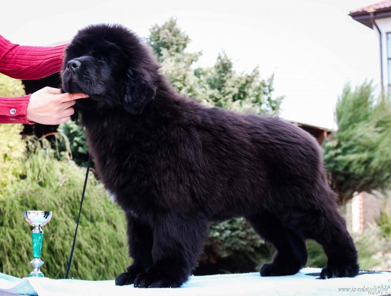 Фото: Viktor Hrischanovich (Виктор Хрищанович)