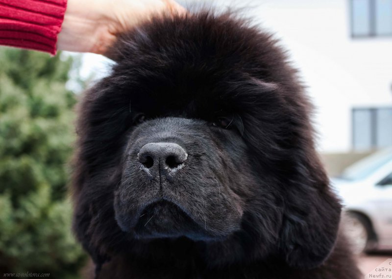 Фото: Viktor Hrischanovich (Виктор Хрищанович)