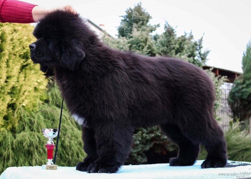 Фото: Viktor Hrischanovich (Виктор Хрищанович)