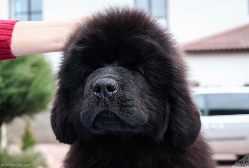 Фото: Viktor Hrischanovich (Виктор Хрищанович)