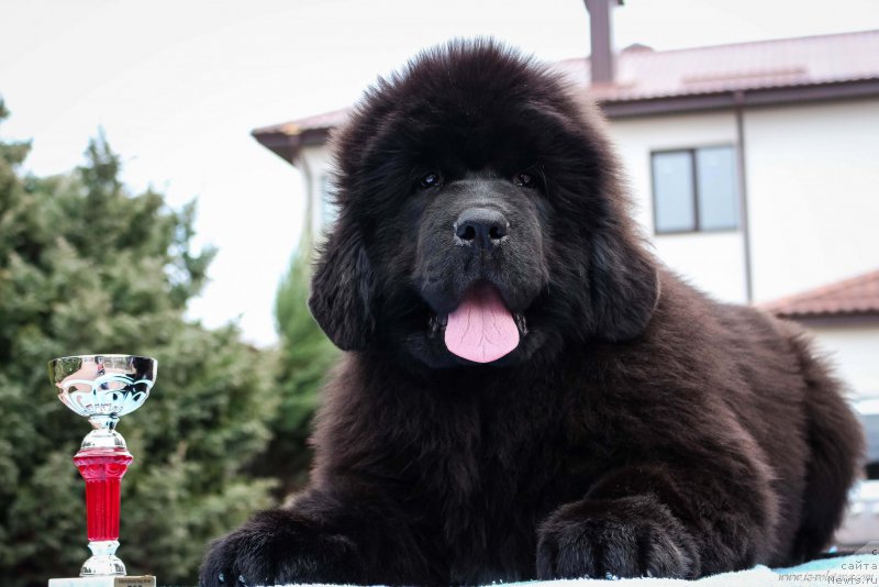 Фото: Viktor Hrischanovich (Виктор Хрищанович)