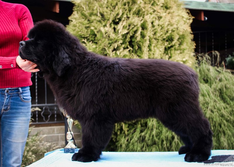 Фото: Viktor Hrischanovich (Виктор Хрищанович)