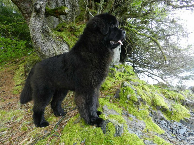 Фотография № 204965