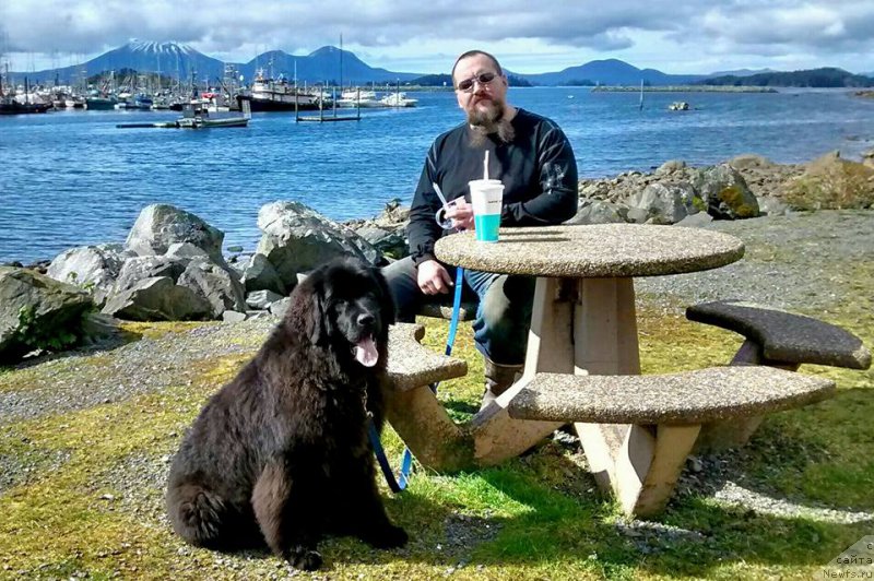 Фотография № 204966