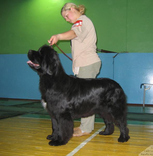 Фотография № 20497