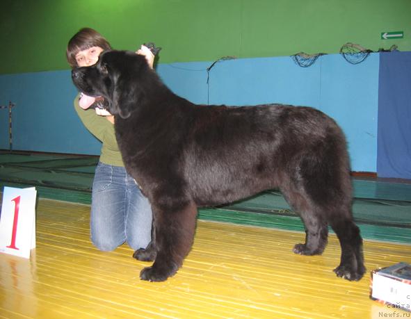 Фотография № 20498