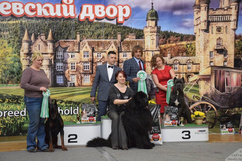 Фотография № 205007