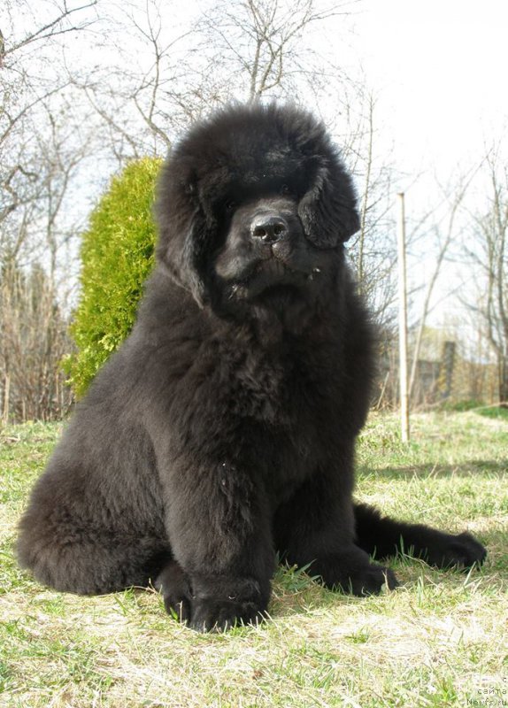 Фото: Blows Your Mind Naujas Klanas