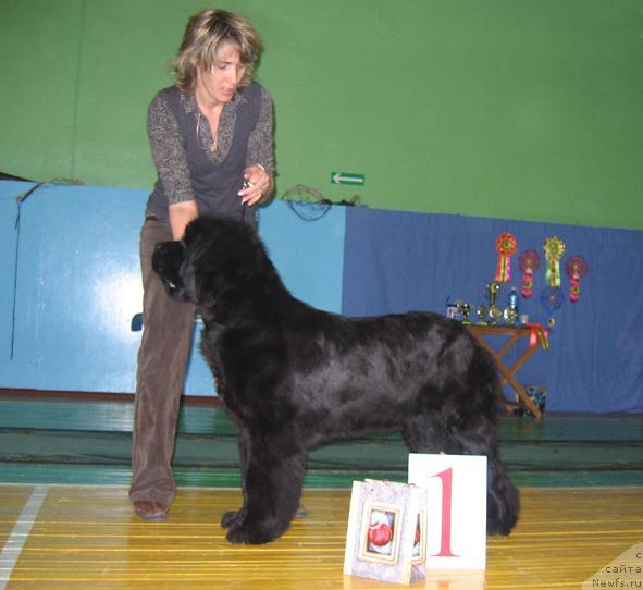 Фотография № 20503