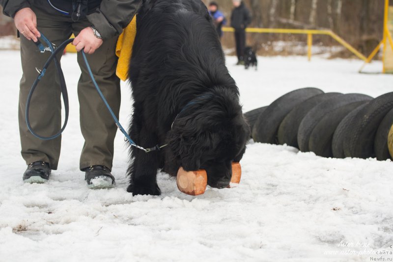 Фото: Конан