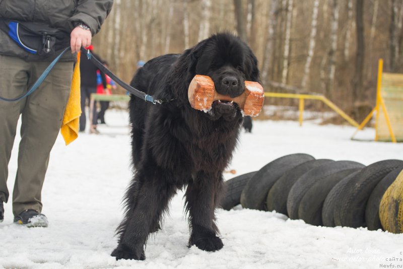 Фото: Конан