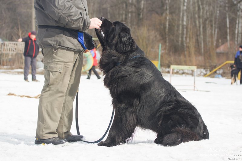 Фото: Конан