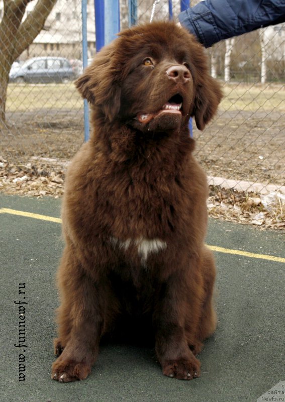 Фотография № 205058