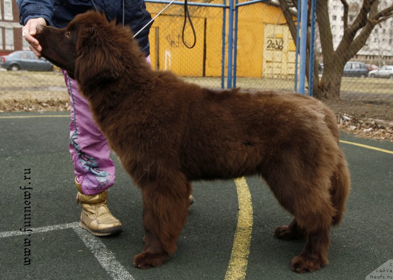 Фотография № 205062