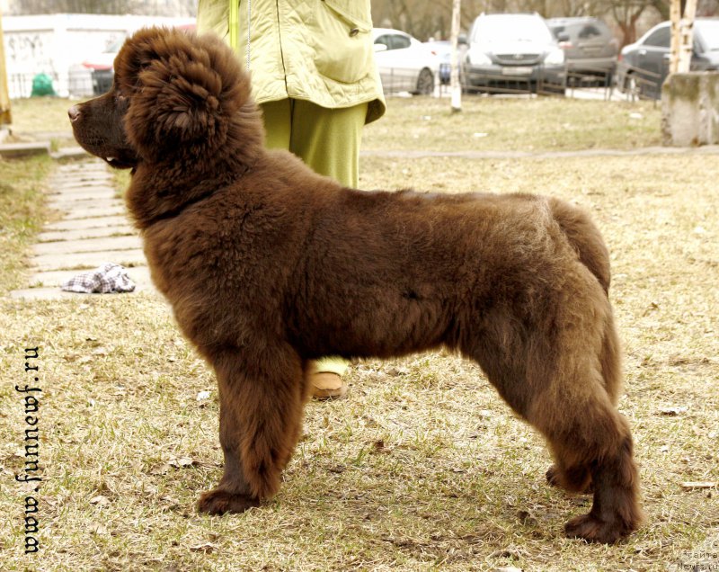 Фотография № 205063