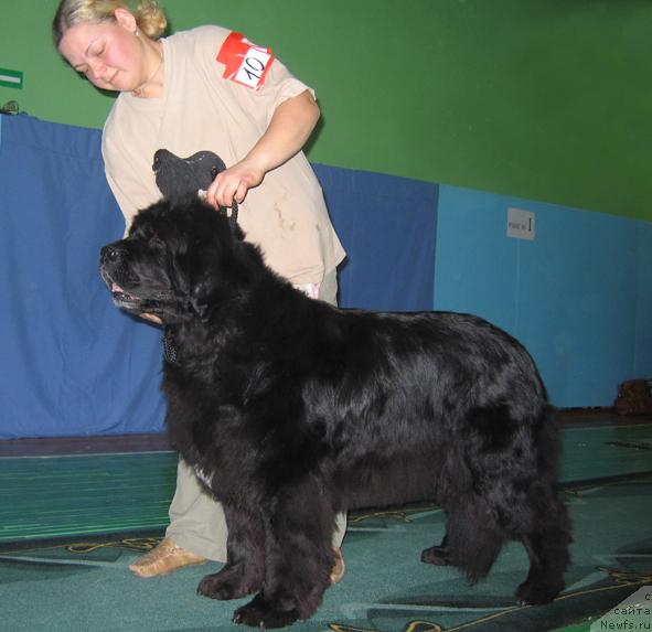 Фотография № 20508