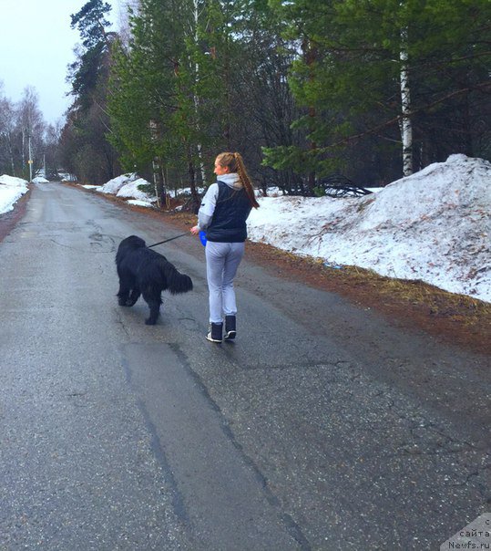 Фотография № 205091