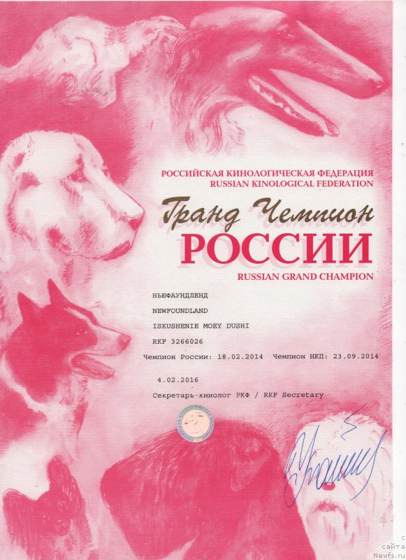 Фотография № 205093