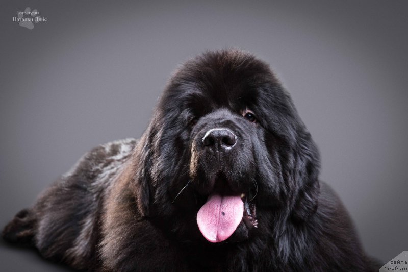 Фотография № 205111