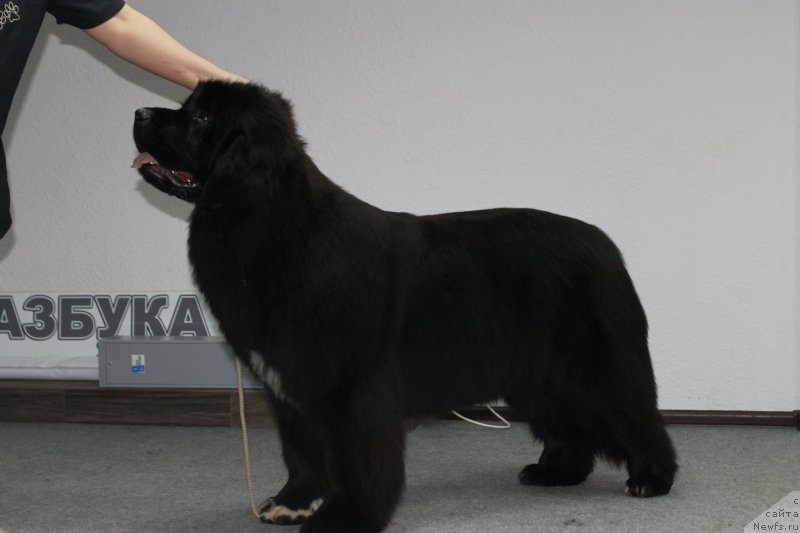 Фотография № 205121